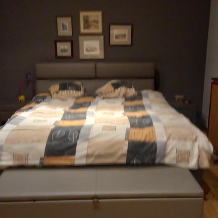 Luxe Appartement Met 3 Slaapkamers En 1 Kingsize Bed Slaapzetel En Drie Dubbelbedden Dendermonde Esterno foto