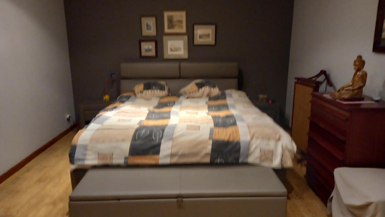 Luxe Appartement Met 3 Slaapkamers En 1 Kingsize Bed Slaapzetel En Drie Dubbelbedden Dendermonde Esterno foto